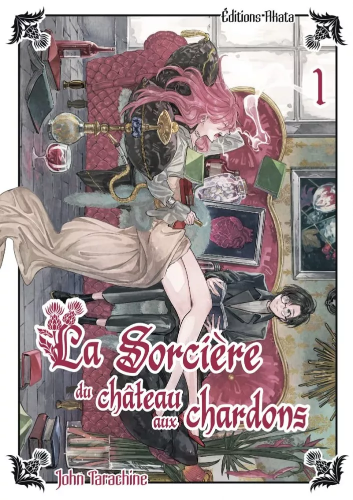 La Sorcière du château aux chardons